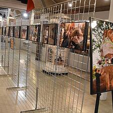 SÅ STÅR UDSTILLINGEN KLAR TIL ÅBNING I MORGEN

Danevirke Museum holder udstillingsåbning sammen med&hellip;