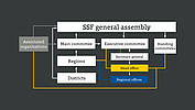 SSF's structure.