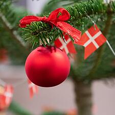 GLÆDELIG JUL OG GODT NYTÅR
Julefreden sænker sig over Sydslesvig og sekretariaterne ønsker alle&hellip;