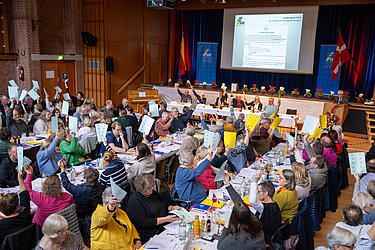 SSFs landsmøde den 9. november