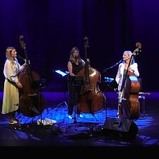 Køb billetten nu ! Torsdag den 2.december 2021, klokken 20:00, Slesvighus. Lollfuss 89, 24837&hellip;