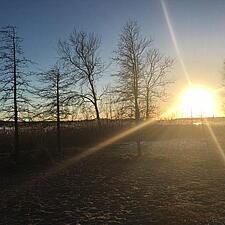 Søndag eftermiddag på Kongeengen ved Slien.