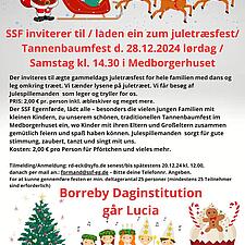 LØRDAG, 28. DECEMBER KL. 14.30
JULETRÆSFEST I MEDBORGERHUSET, EGERNFØRDE
Børnene fra Borreby&hellip;