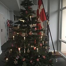 SSF Gottorp amt ønsker alle medlemmer og venner en rigtig glædelig jul, og et godt nytår :)