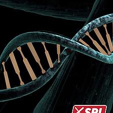 RUNDBOLD LIGGER I SYDSLESVIGERES DNA
Endnu en gang har videnskaben talt: Der er nu klare beviser på,&hellip;
