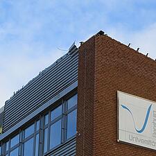 INTERESSEREDE SØGES TIL ET SPROGLIGT EKSPERIMENT
Flensburg Universität, center for små og regionale&hellip;