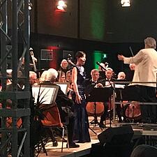 NYTÅRSKONCERT 2019 
Promenade orkesteret Lauseniana sørgede for 37. gang for en festlig og smuk&hellip;