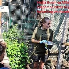A' HVA' GØR DEN?

En snes SSF-medlemmer fra Husum Amt havde lørdag en god tur til Skærup Zoo ved&hellip;