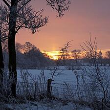JULELUKKET

Onsdag den 15. december er sidste dag i år, sekretariatet i Tønning er bemandet. &hellip;