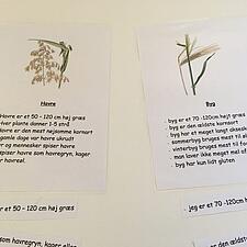 Høst-workshop med Susanne og Annalouise
