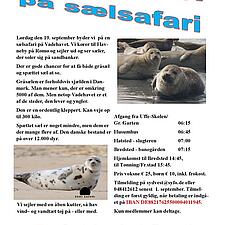 TAG MED PÅ SÆLSAFARI I SEPTEMBER

- Selv om der står "kun for medlemmer" kan bedsteforældre godt&hellip;