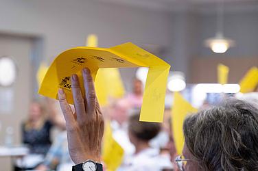 Møde i SSFs Hovedstyrelse