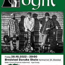 Husk Vestkystkultur i Bredsted på fredag med traditionel irsk folkemusik.