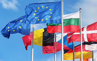 EU-valg 2019: Hvad siger kandidaterne til mindretalspolitikken?