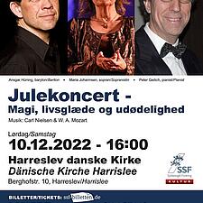 JULEKONCERT MED FÆLLESSANG 10-12-2022 KL. 16.00 I HARRESLEV DANSKE KIRKE.