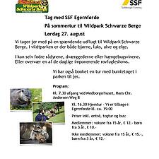 SOMMERUDFLUGT MED SSF EGERNFØRDE
27. AUGUST