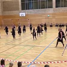 ÅRSMØDE 2019 I SLESVIG