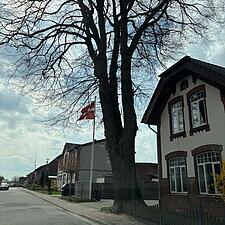 HJERTELIG TILLYKKE DERES MAJESTÆT DRONNING MARGRETE
her fra SSF sekretariatet i Bydelstorp ved&hellip;