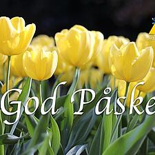 SSF ØNSKER GOD PÅSKE
Snart er det påske, og som mange andre glæder vi os til lidt tid sammen med&hellip;