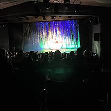 Teater Next gæstede i dag Slesvighus med familieforestillingen “ Vinden i piletræerne”. Tusind tak&hellip;